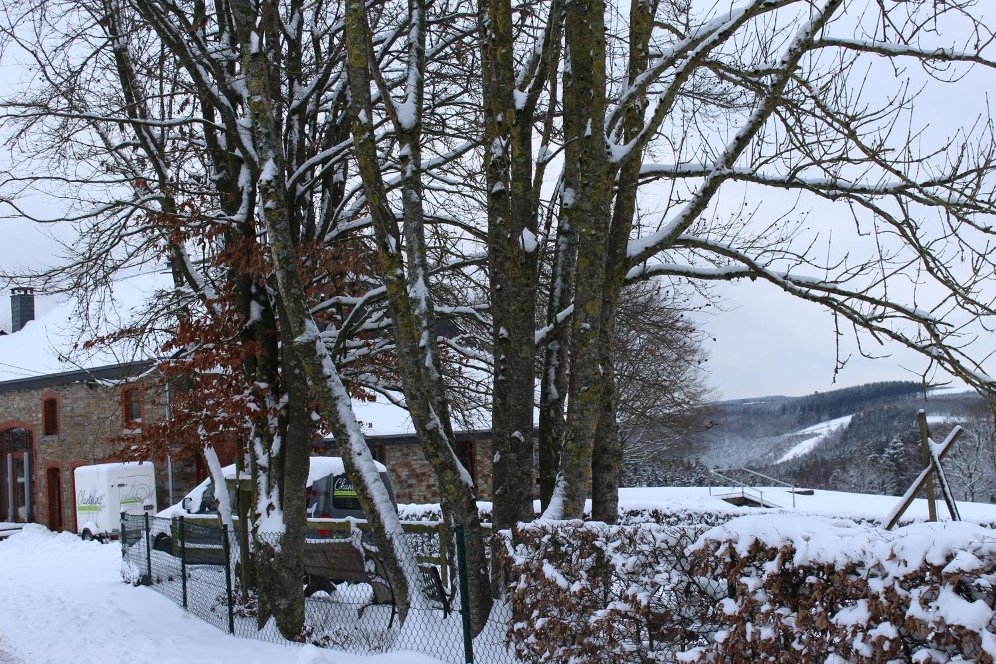 Chanteloup, Maison D'Hotes - Halleux Halleux  Luaran gambar